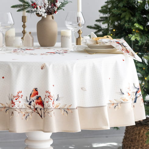 Новогодняя коллекция "Пернатые истории"